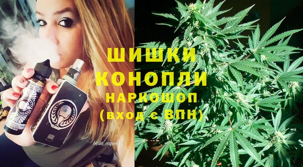 дживик Балахна