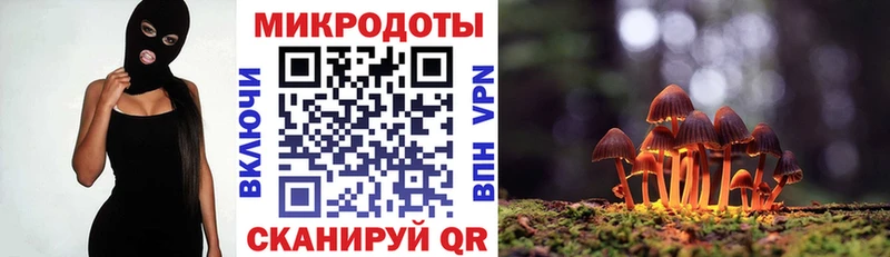 как найти   Пыталово  hydra сайт  Псилоцибиновые грибы прущие грибы 